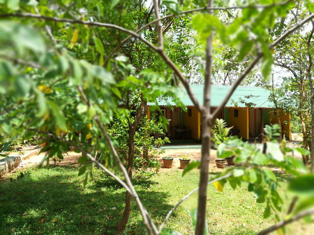 Sigiri La Veranda Lodge Kibissa Екстериор снимка