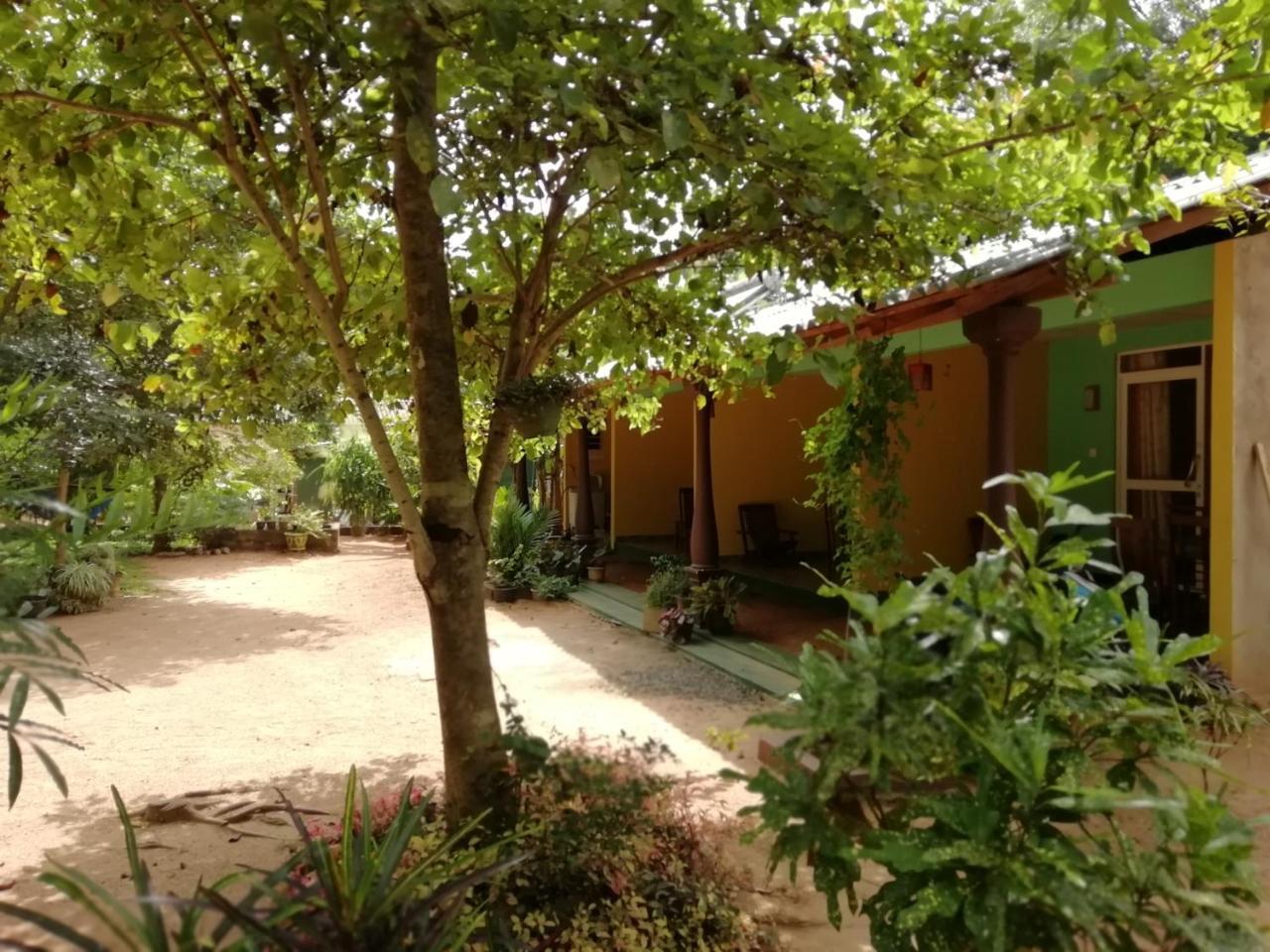Sigiri La Veranda Lodge Kibissa Екстериор снимка